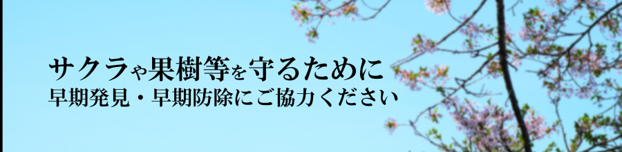 sozai1