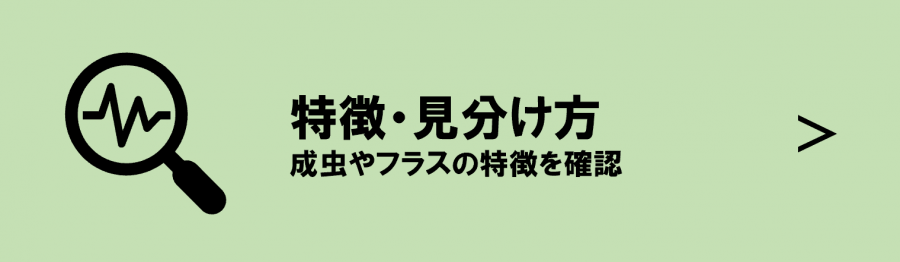 sozai2