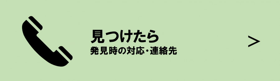 sozai5