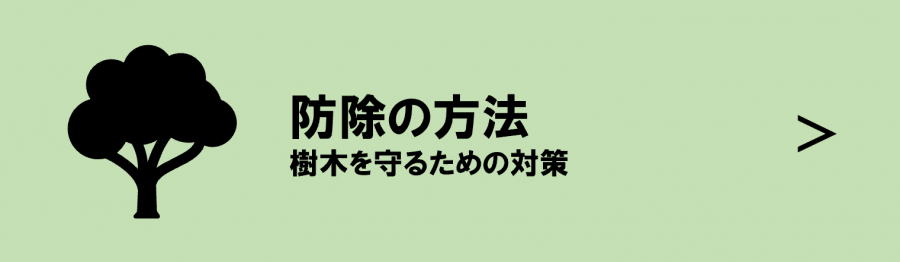 sozai6
