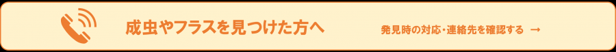 sozai8