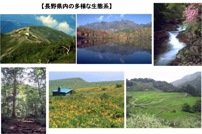 長野県内の多様な生態系