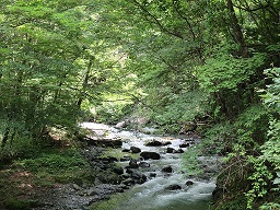 ダム湖へ注がれる清流