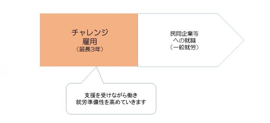 概要図