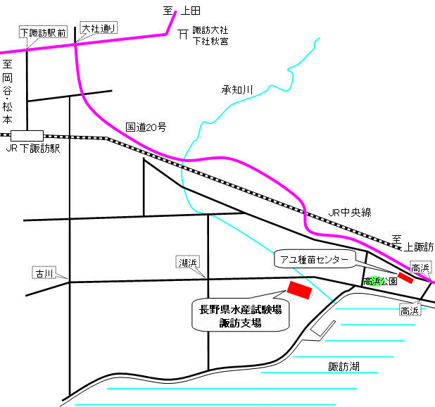 水産試験場諏訪支場への案内図