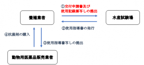 発行の流れ