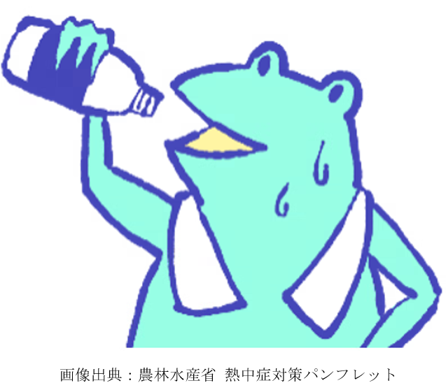 nettyuusyoukaeru