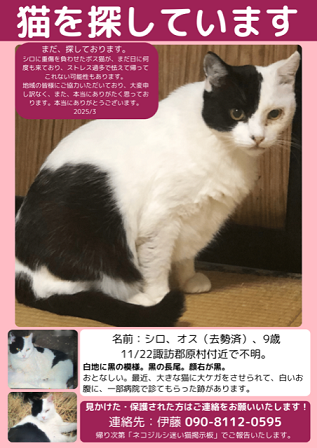 yukuefumeineko6-12