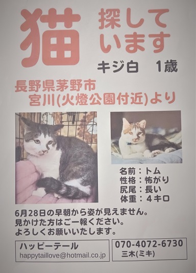  yukuefumeineko7-5