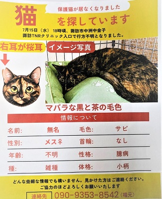  yukuefumeineko8-