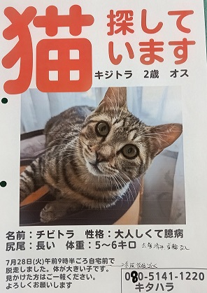 yukuefumeineko8-7
