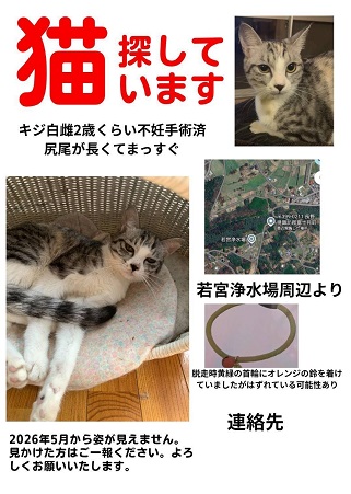 yukuefumeineko8-8.