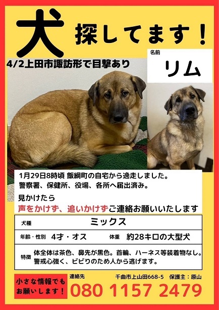 yukuehumeiinu7-1