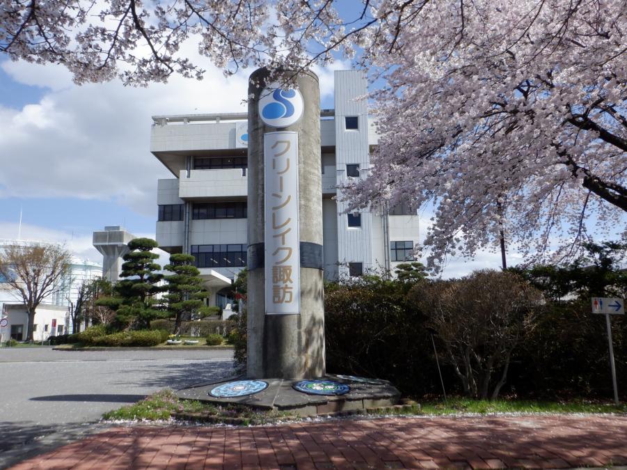 2024sakura1