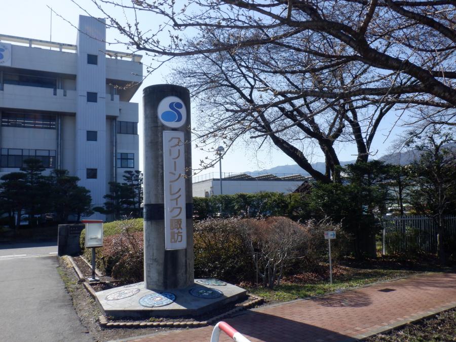 sakura1
