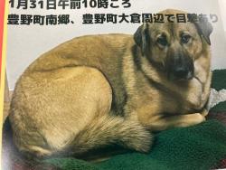 250221犬