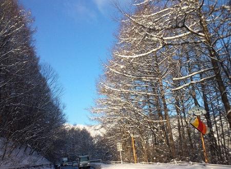 三才山峠の雪化粧