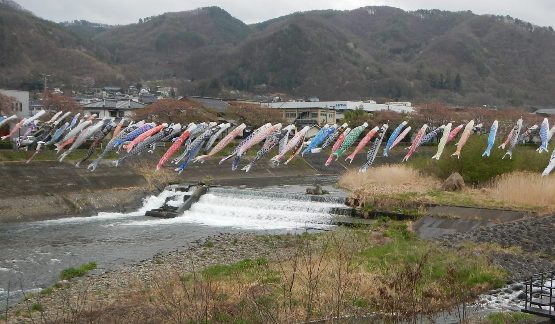 依田川と鯉のぼり