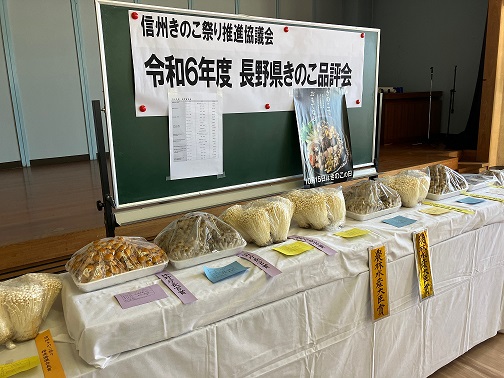 04きのこ展示