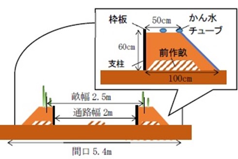 埋没改植法による改植後の模式図