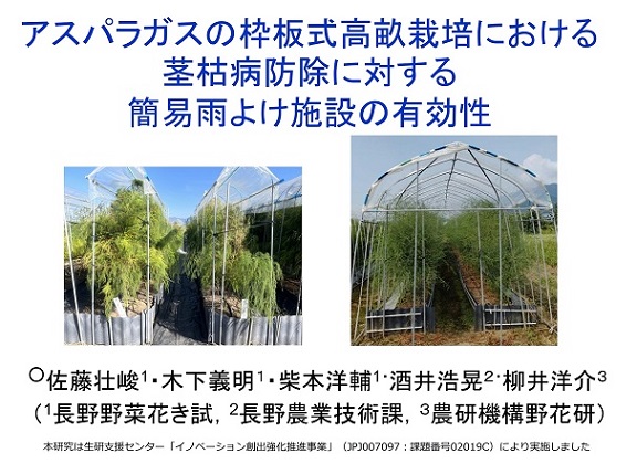 アスパラガス枠板式高畝栽培における茎枯病防除に対する簡易雨よけ施設の有効性