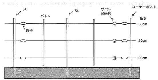 電気柵の例